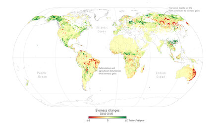 Change in biomass 2010–2019