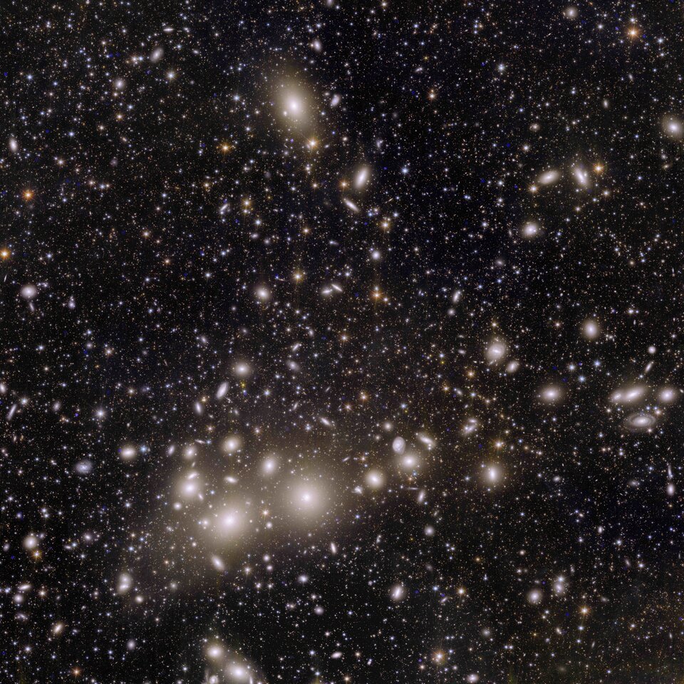 Finding dwarf galaxies in Euclid's view of Perseus: