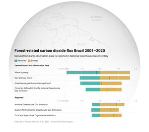 Brazilian forest carbon flux 2001–2020