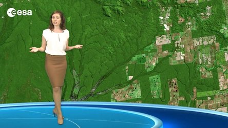 24 years of Amazon Rainforest deforestation are shown in a simulated animation.